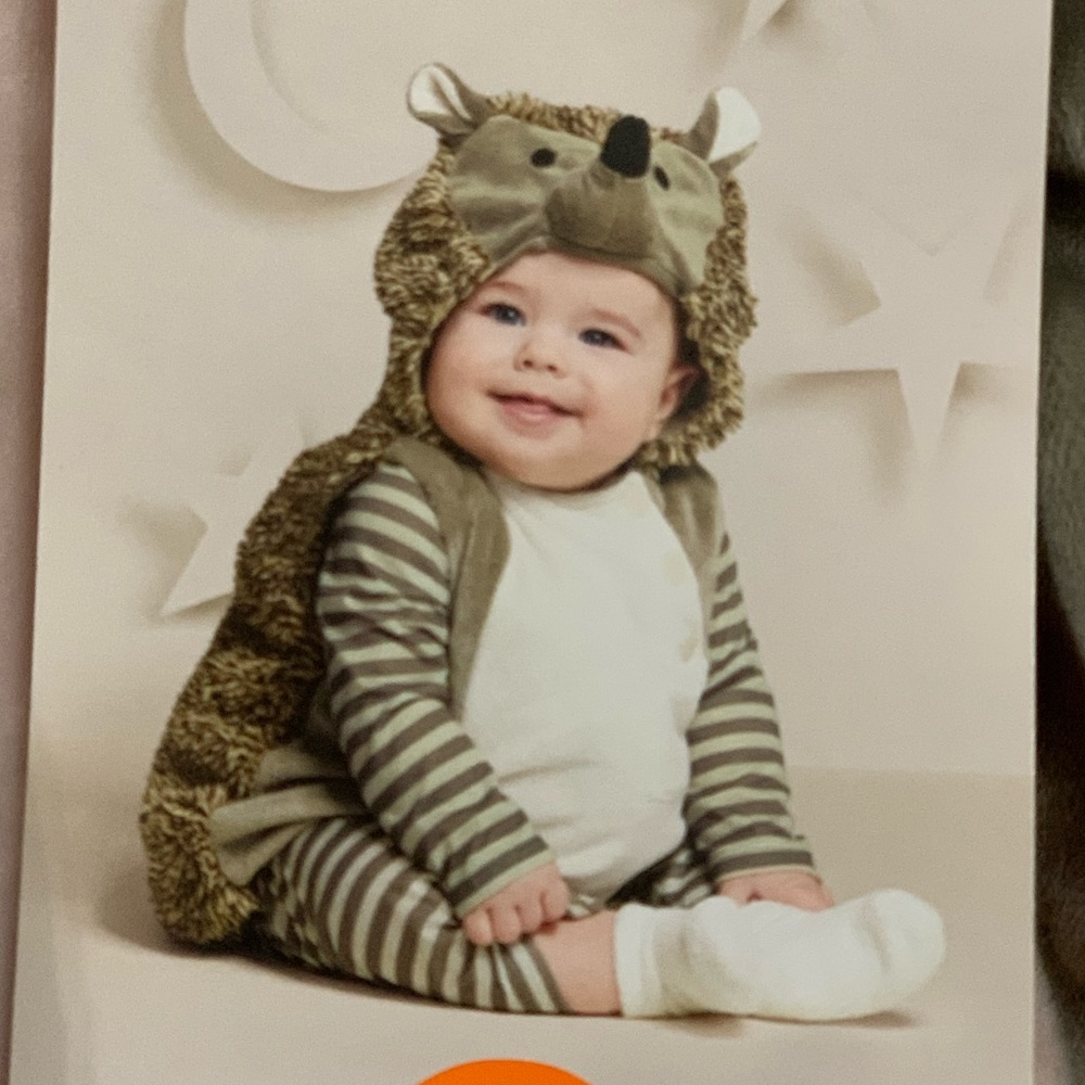 Porcupine costume • NWT • $15